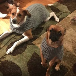 Meet your Posher, Irene